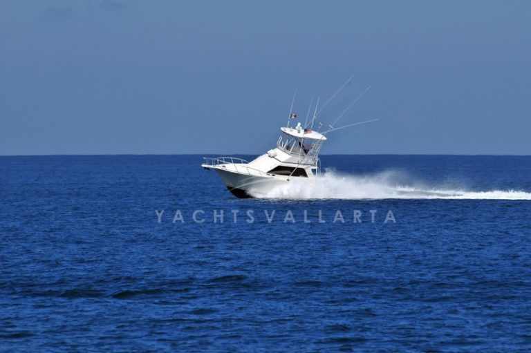 CB35 Impressive Persecution