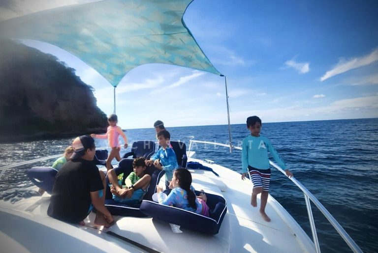 Front Deck seats, shade & cushions