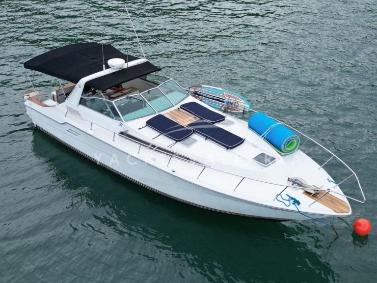 Sea Ray 460 Profile Air