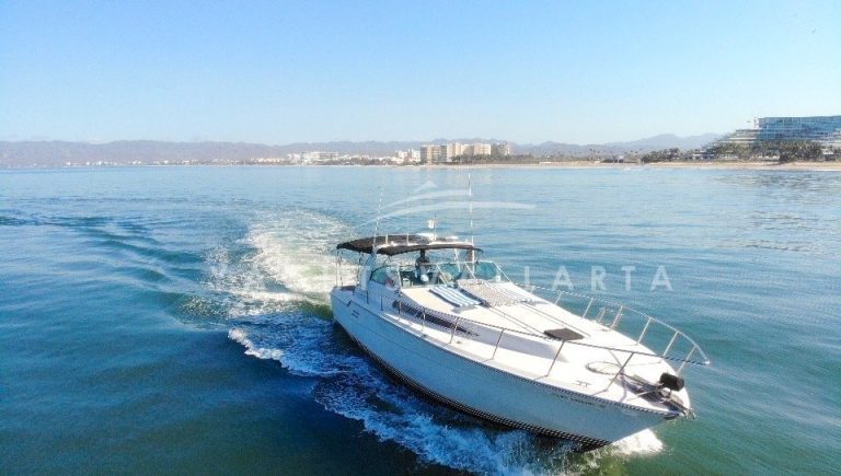 Sea Ray 460 bow aerial