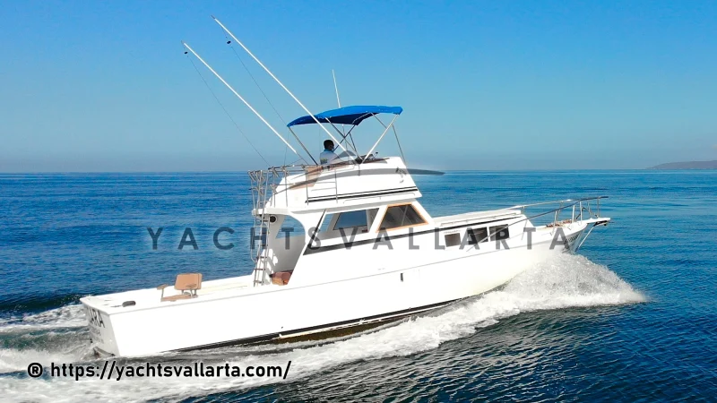 Custom 36 Sportfishing Yacht Rentals